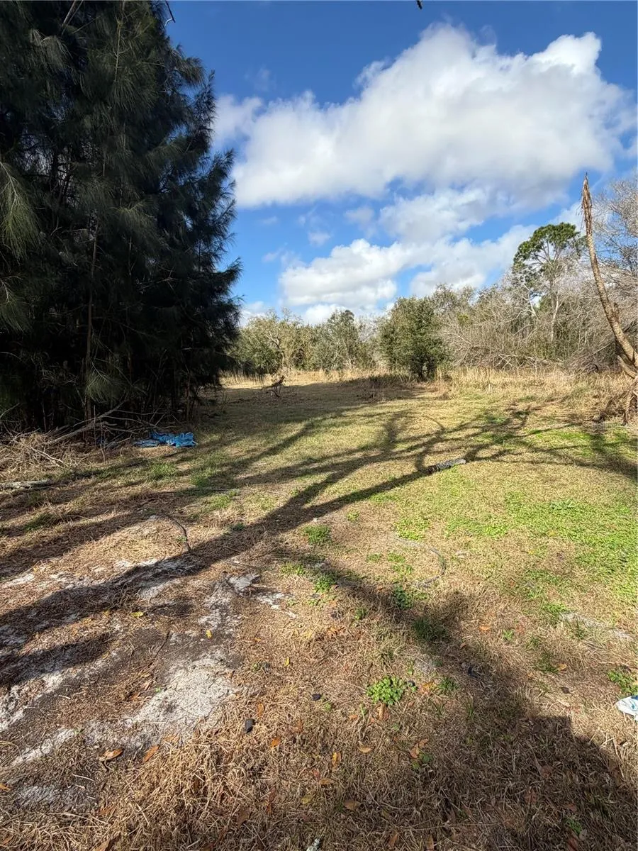 1211 NW EUCALYPTUS AVENUE Arcadia, FL 34266