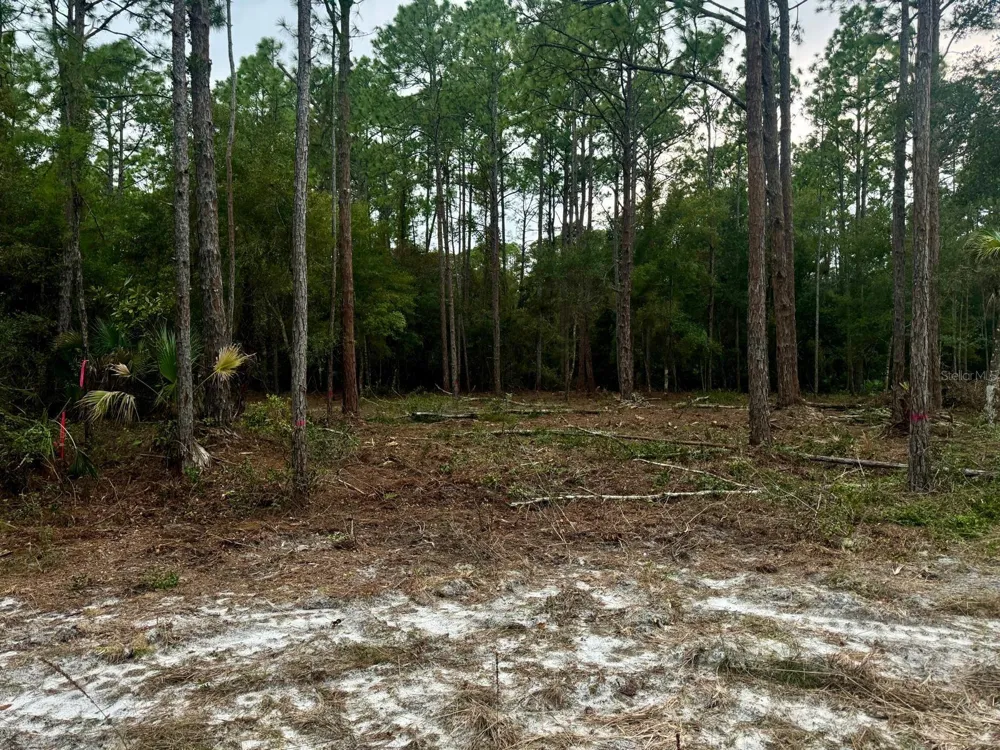 127 LONGTREE STREET Georgetown, FL 32139