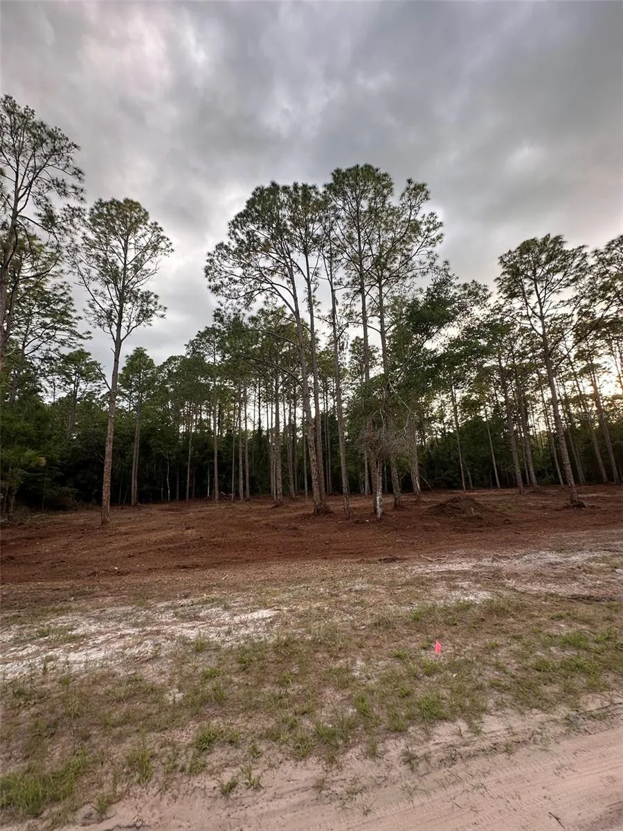 127 LONGTREE STREET Georgetown, FL 32139