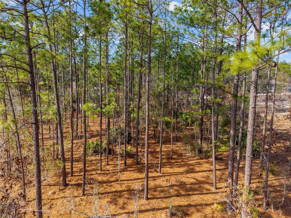 SW 128th Terrace Road ocala, FL 34481