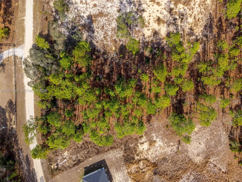 SW 128th Terrace Road ocala, FL 34481