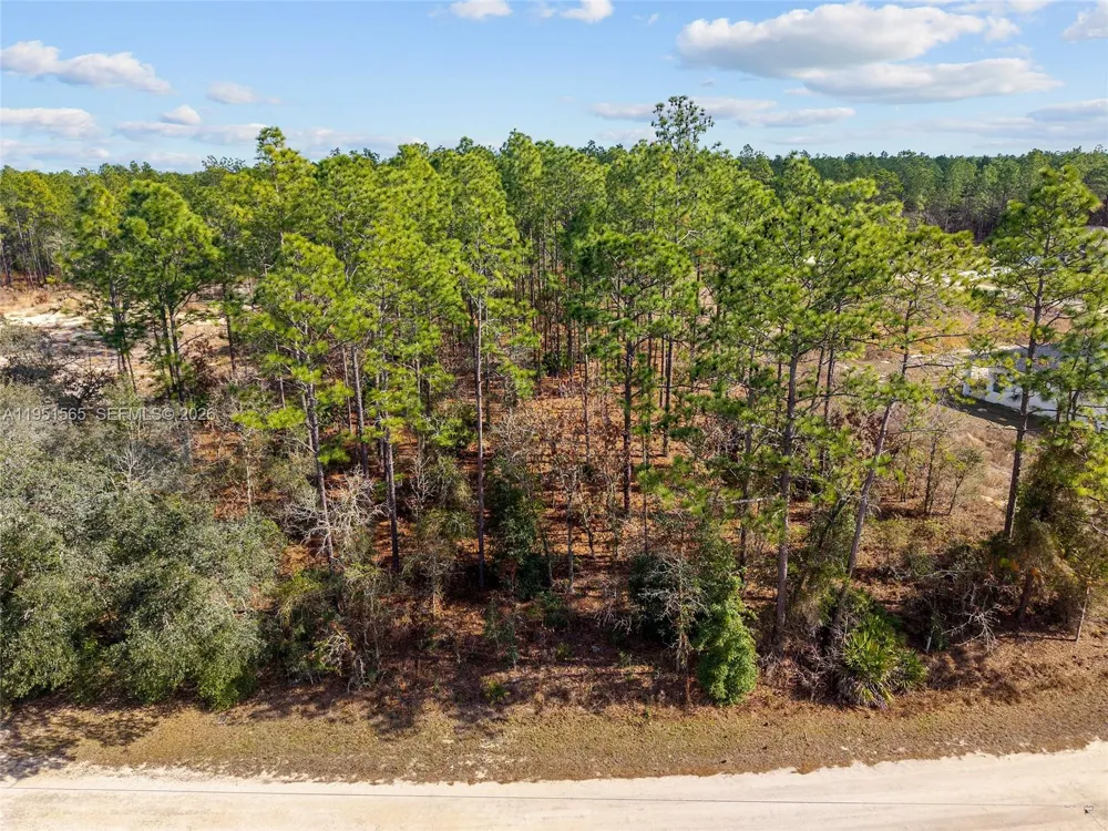 SW 128th Terrace Road ocala, FL 34481