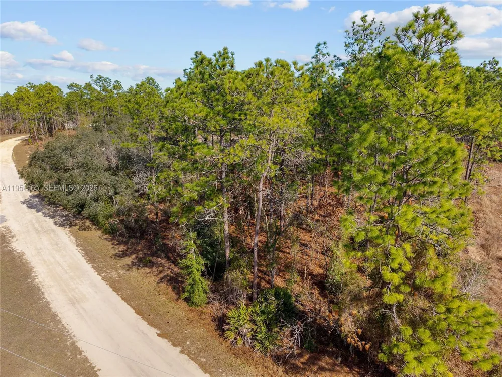 SW 128th Terrace Road ocala, FL 34481