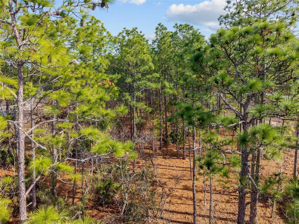 SW 128th Terrace Road ocala, FL 34481