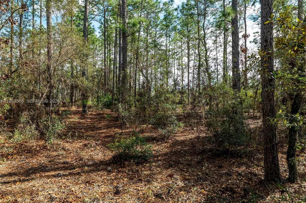 SW 128th Terrace Road ocala, FL 34481