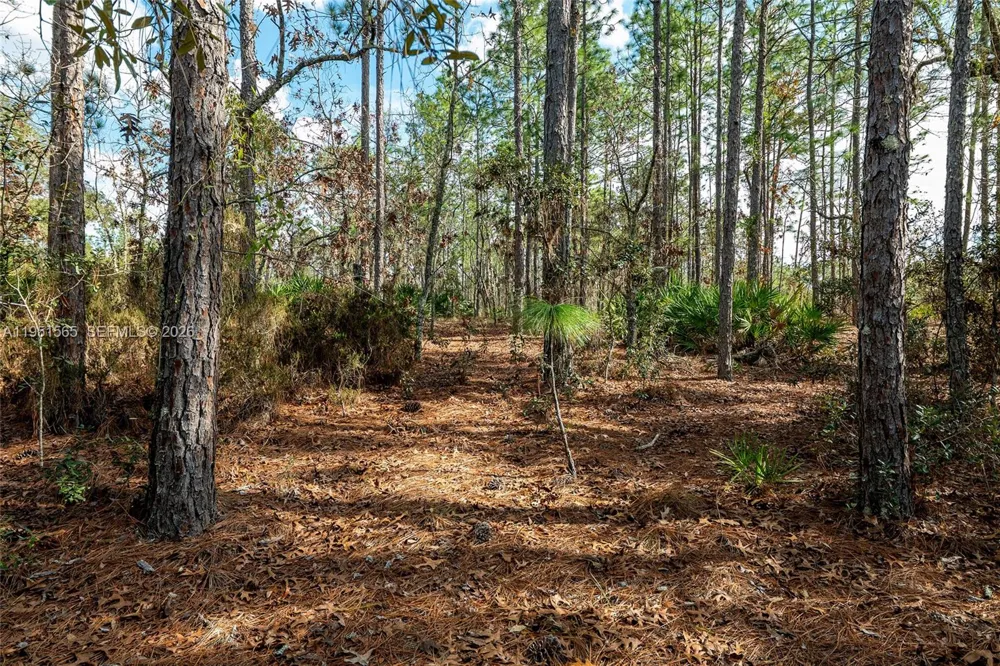 SW 128th Terrace Road ocala, FL 34481