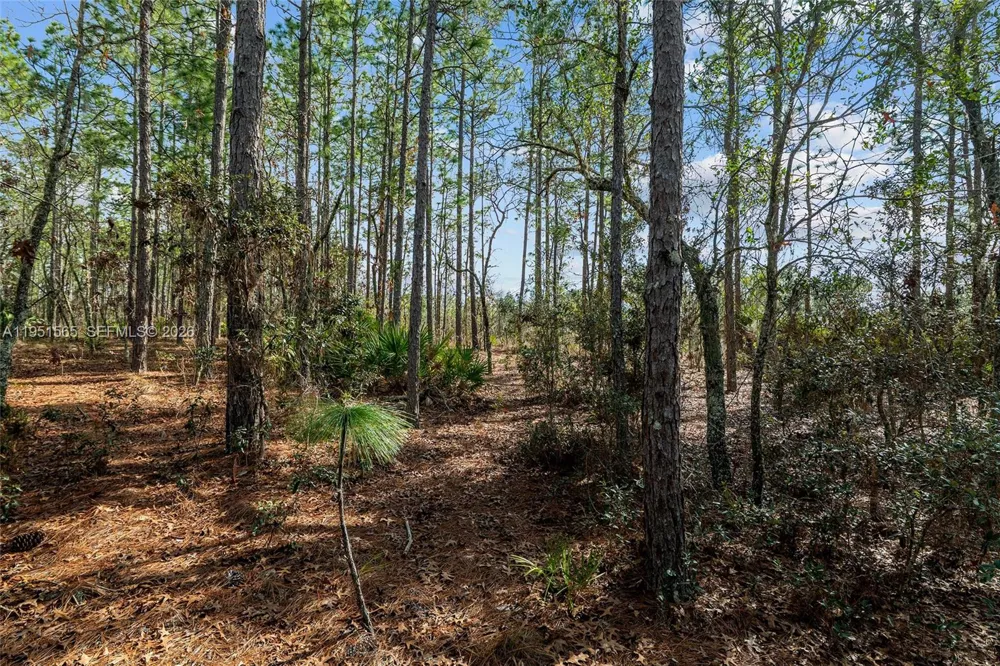SW 128th Terrace Road ocala, FL 34481