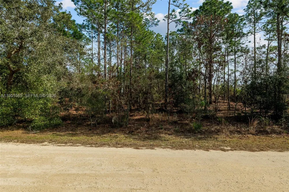 SW 128th Terrace Road ocala, FL 34481