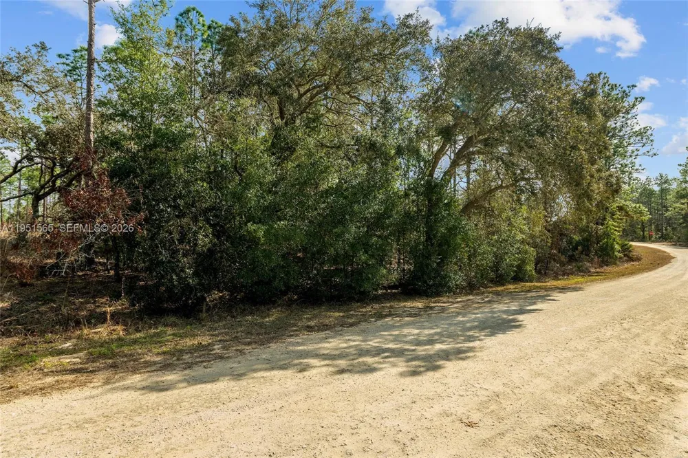 SW 128th Terrace Road ocala, FL 34481