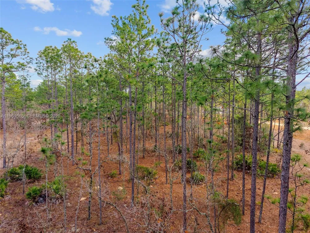 SW 128th Terrace Road ocala, FL 34481