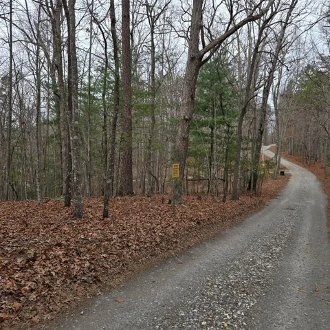 8.5 Blue Berry Ridge