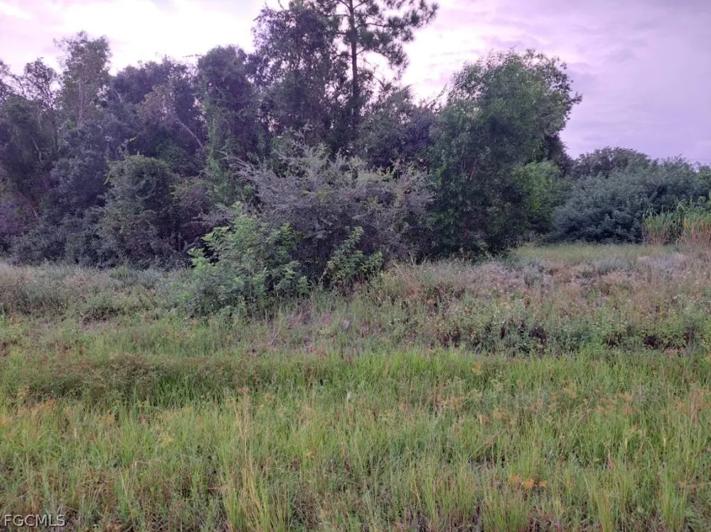 Pine Lane Lehigh Acres, FL 33973
