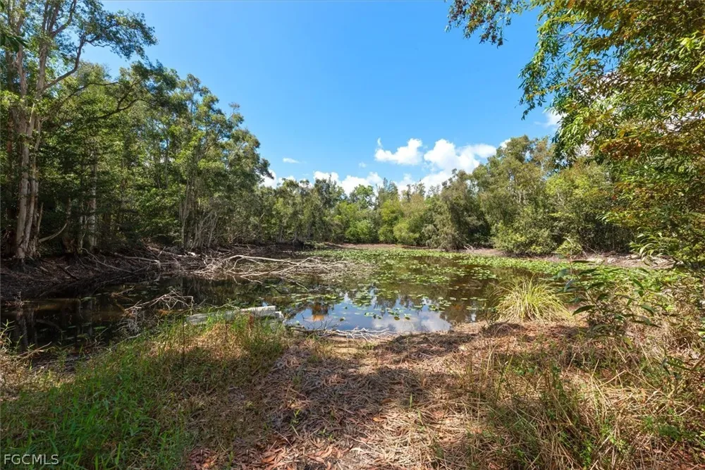 Shamrock Drive Fort Myers, FL 33912