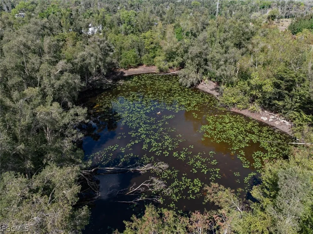 Shamrock Drive Fort Myers, FL 33912