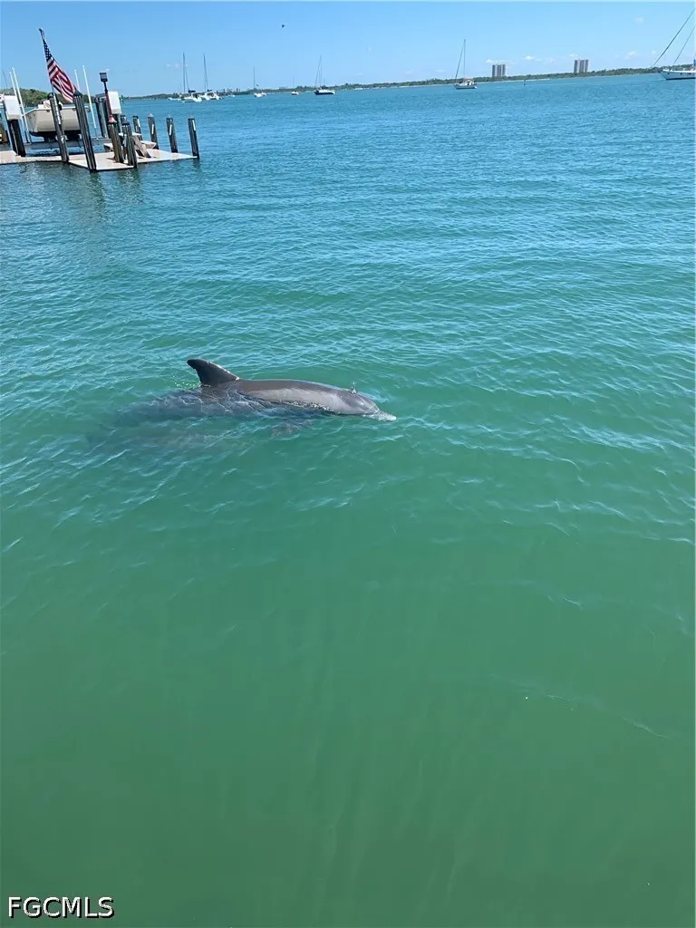 Carlos Circle Fort Myers Beach, FL 33931