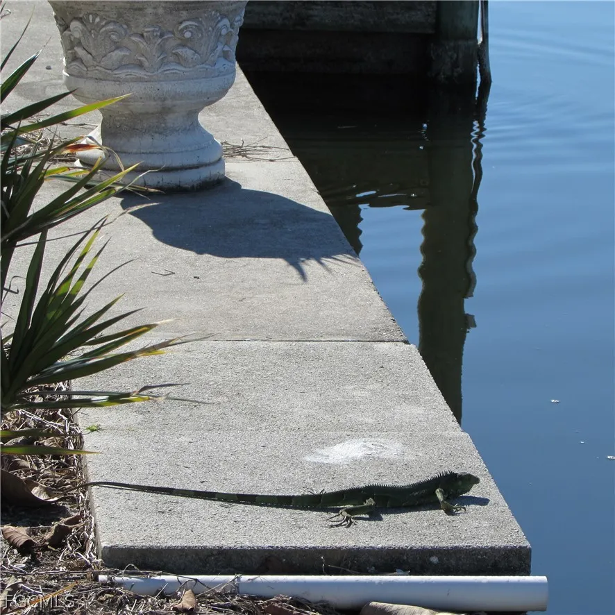 Gulfgate Lane Other, FL 33956