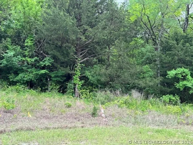 Diamondhead Burneyville, OK 73430