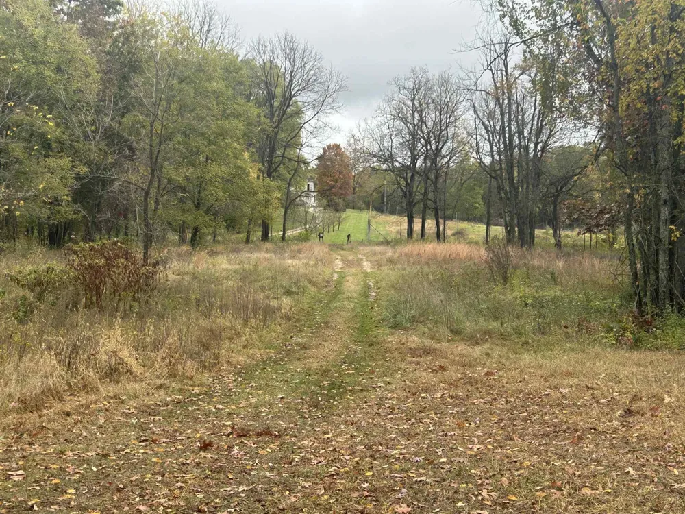 4680 Fitzpatrick Road Hillsdale, MI 49242