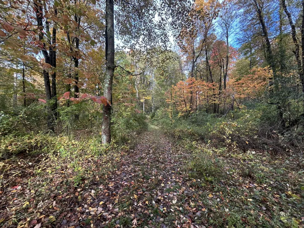 4680 Fitzpatrick Road Hillsdale, MI 49242