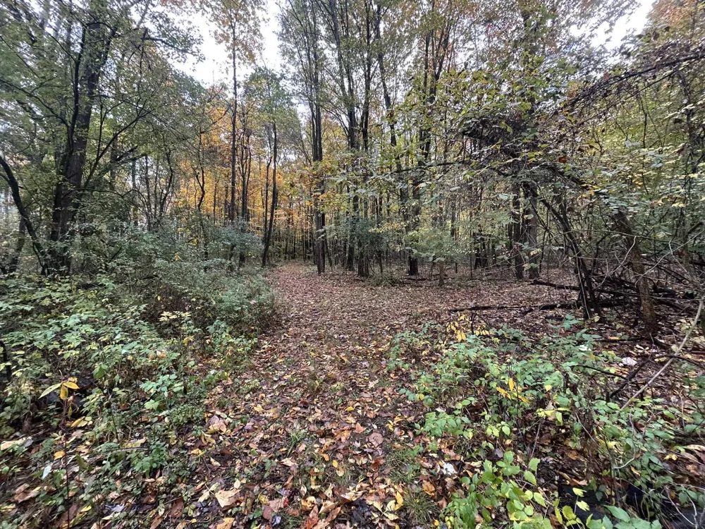 4680 Fitzpatrick Road Hillsdale, MI 49242