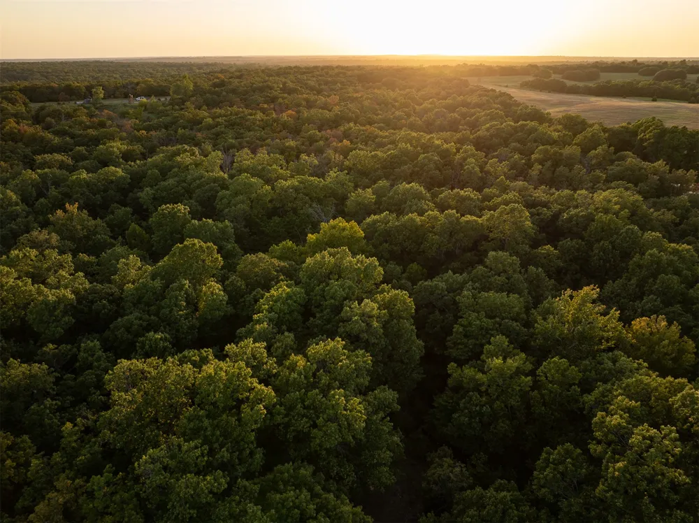 S 35800 ROAD Jennings, OK 74038