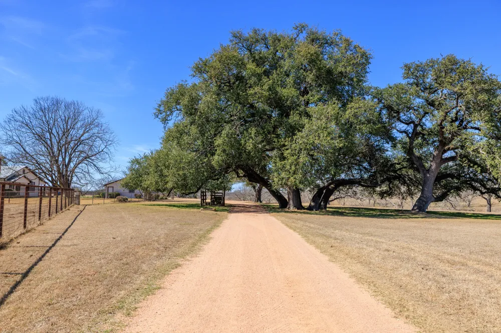 249 Eureka Lane Fredericksburg, TX 78624