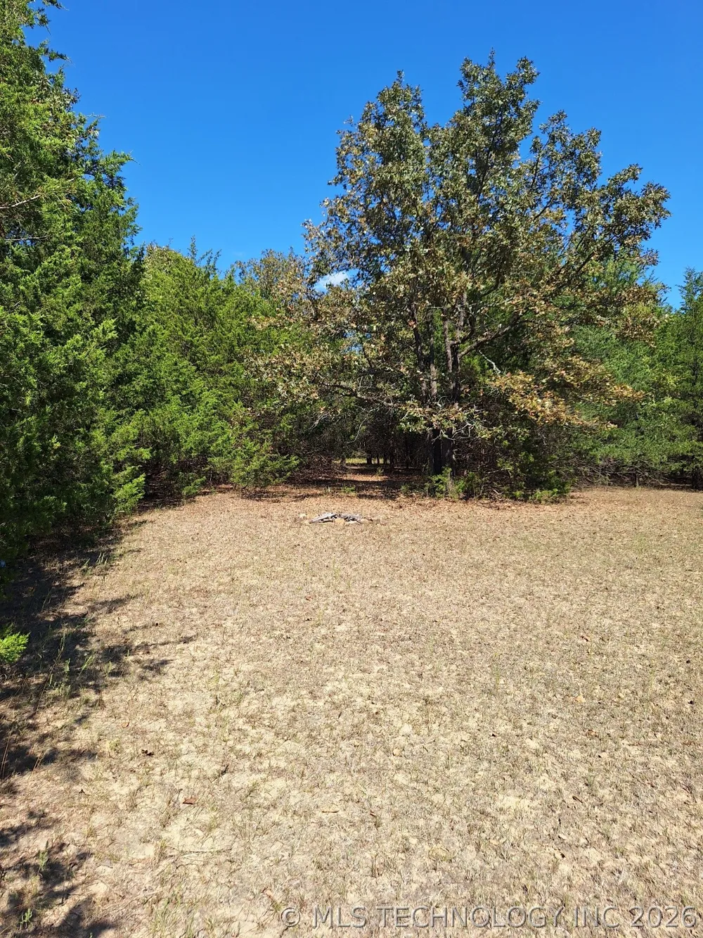 County Road 3665 Allen, OK 74825