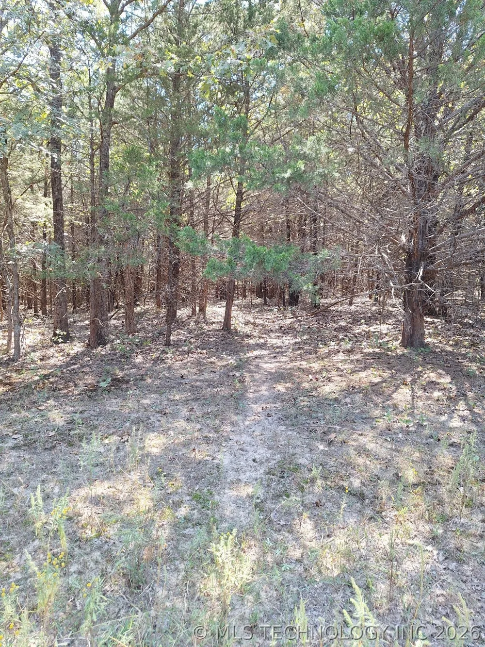 County Road 3665 Allen, OK 74825
