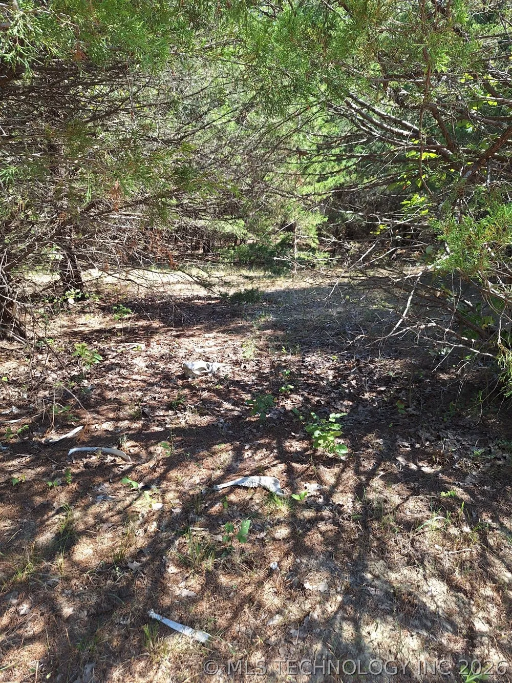 County Road 3665 Allen, OK 74825