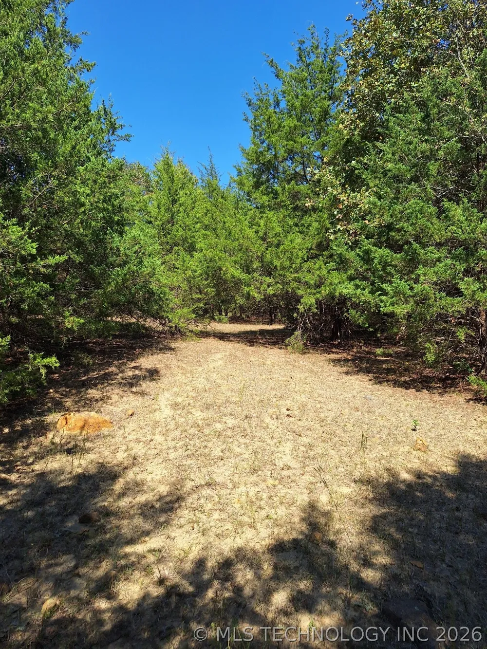 County Road 3665 Allen, OK 74825