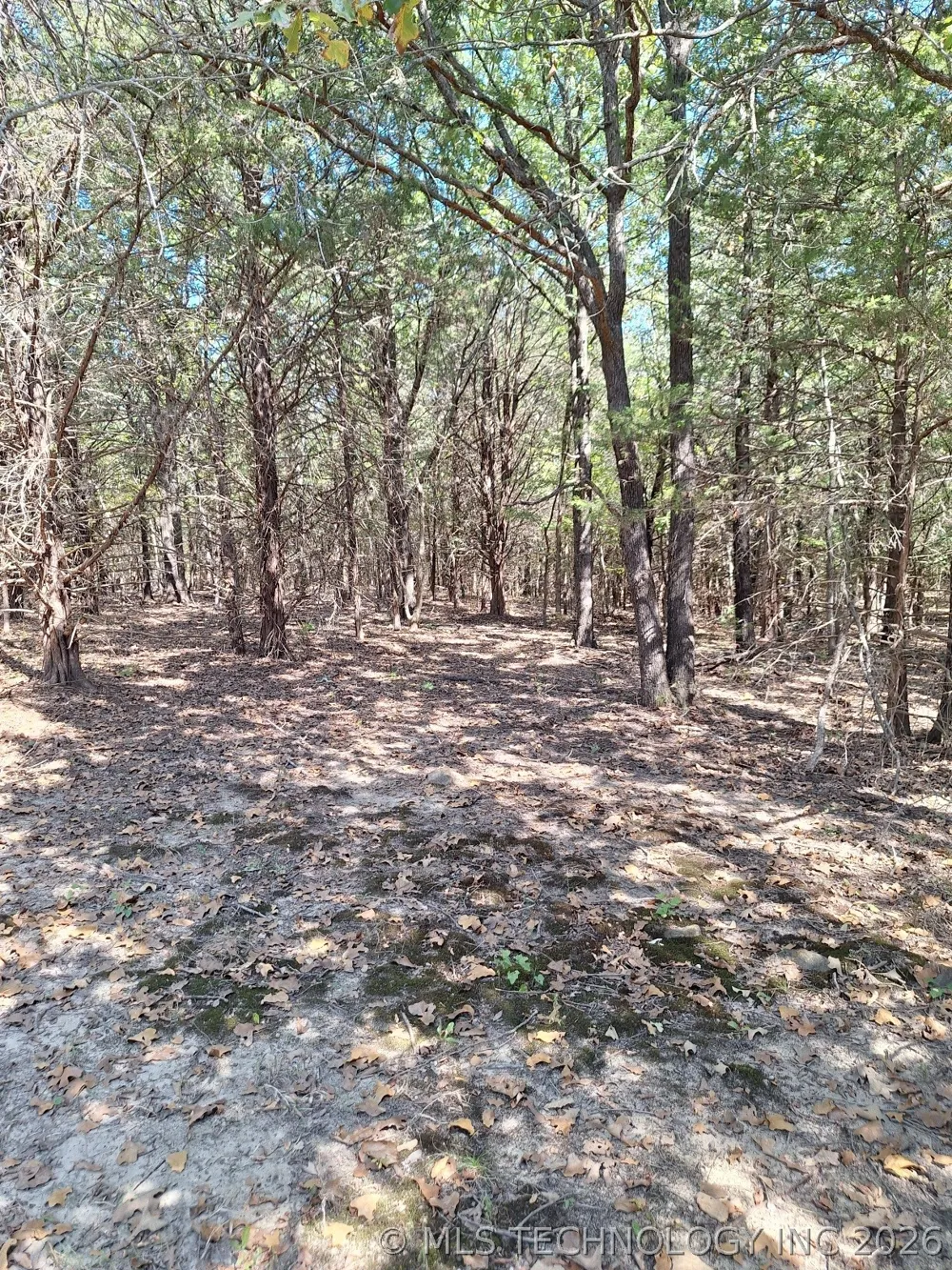 County Road 3665 Allen, OK 74825
