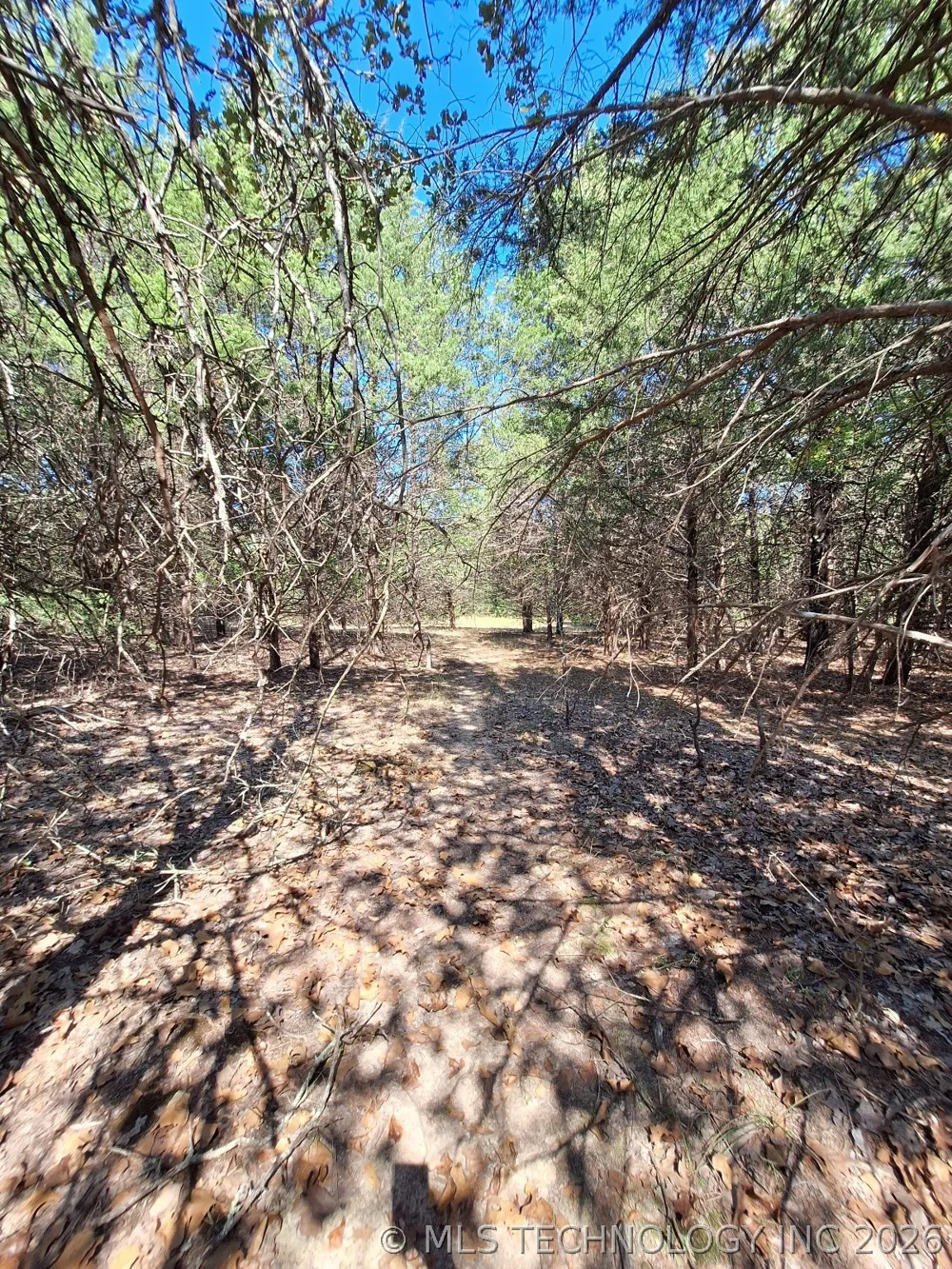 County Road 3665 Allen, OK 74825