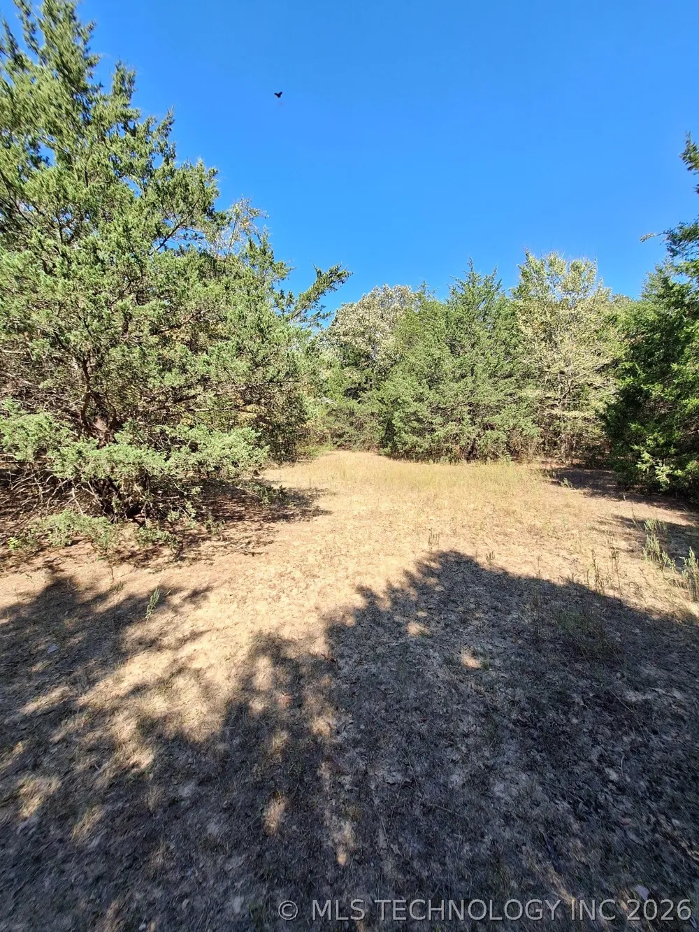 County Road 3665 Allen, OK 74825