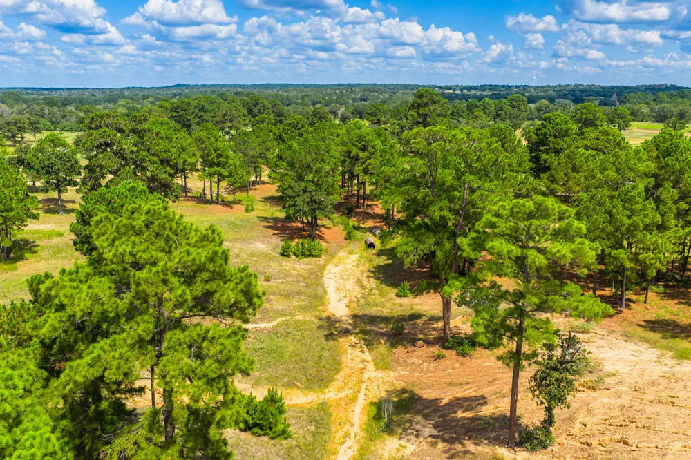 212 Meuth Cemetery Road Red Rock, TX 78662