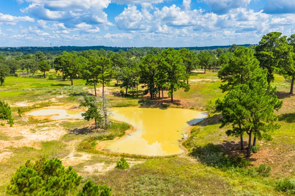 212 Meuth Cemetery Road Red Rock, TX 78662