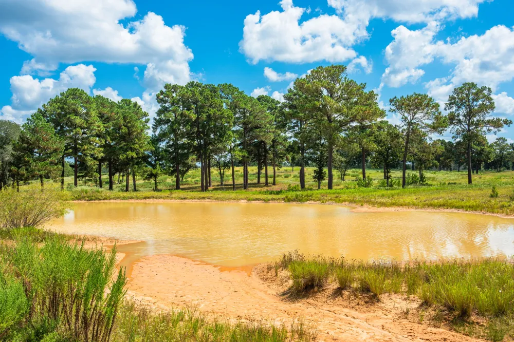 212 Meuth Cemetery Road Red Rock, TX 78662