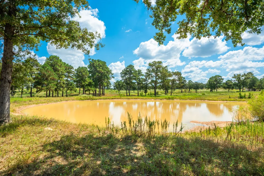 212 Meuth Cemetery Road Red Rock, TX 78662