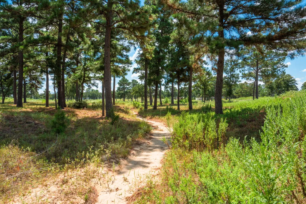 212 Meuth Cemetery Road Red Rock, TX 78662