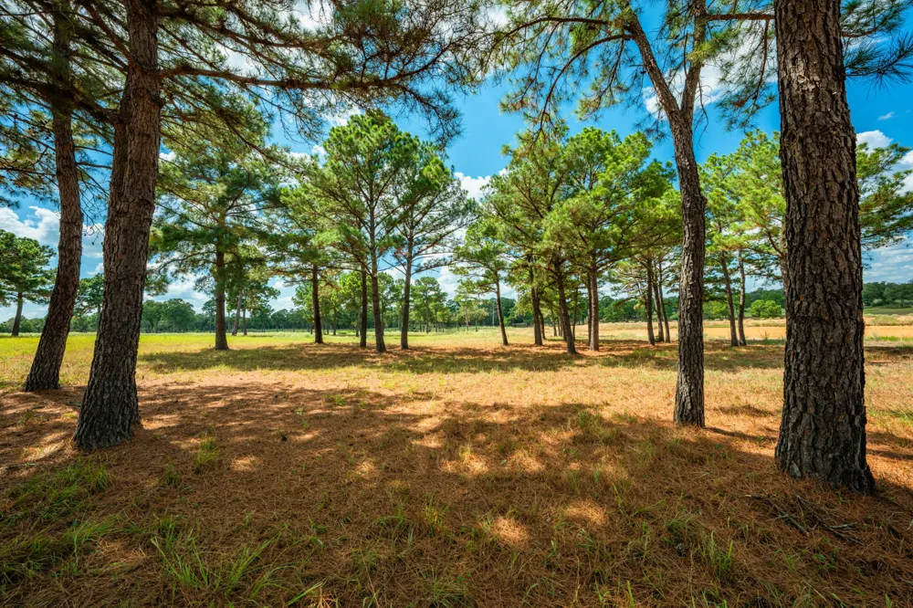 212 Meuth Cemetery Road Red Rock, TX 78662