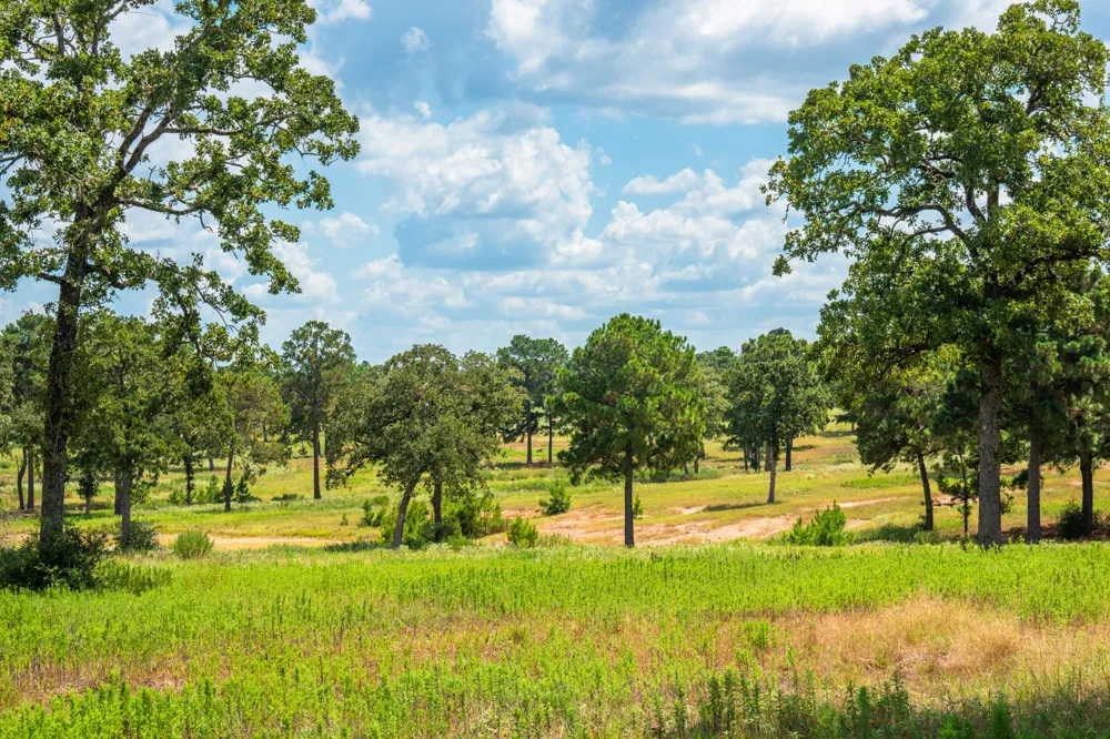 212 Meuth Cemetery Road Red Rock, TX 78662