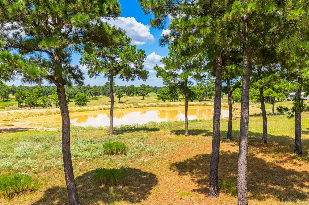 212 Meuth Cemetery Road Red Rock, TX 78662