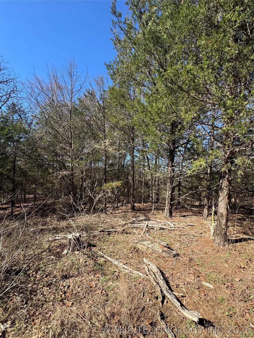 One Creek Valley Road Finley, OK 74543