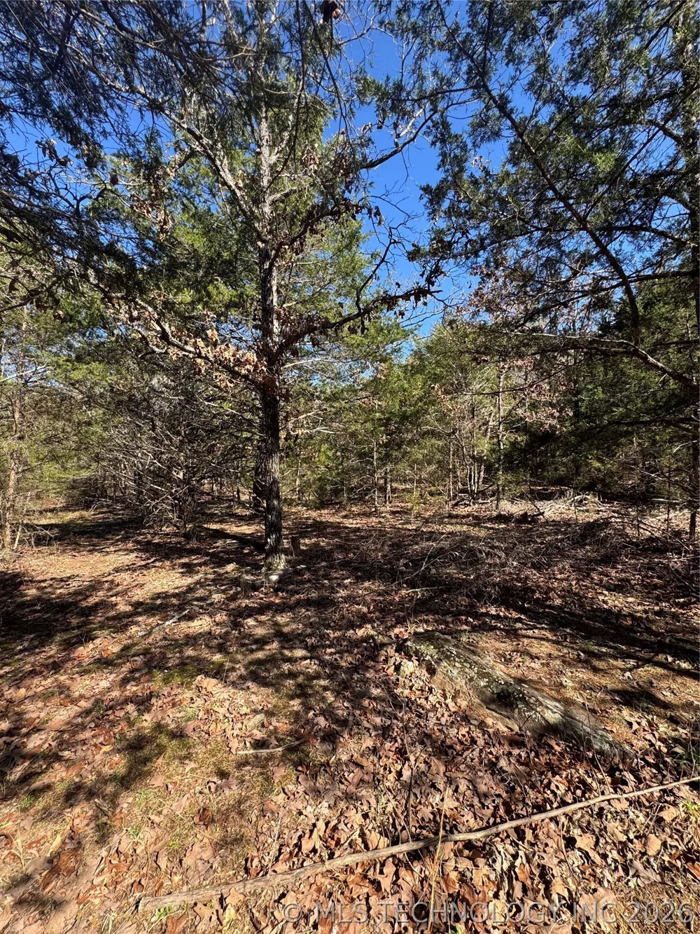 One Creek Valley Road Finley, OK 74543