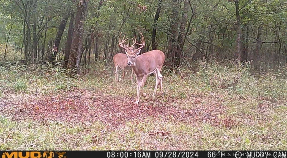 397 AVENUE E Porter, OK 74454