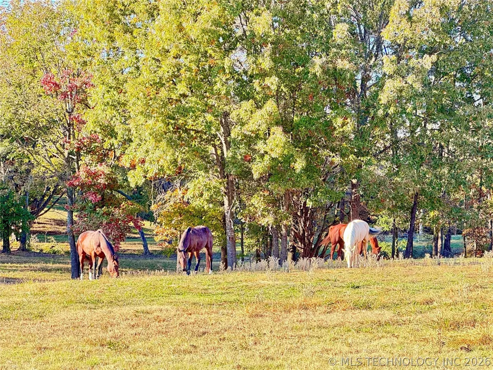 4321 S Bentley Road Atoka, OK 74525