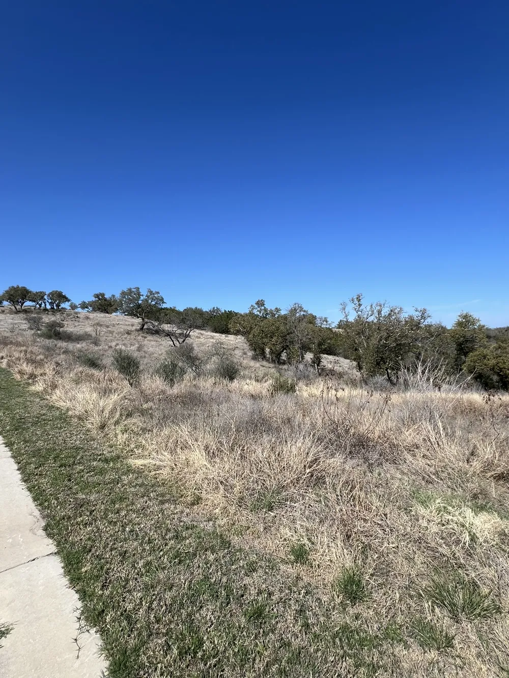 25 Southview Court Kingsland, TX 78639