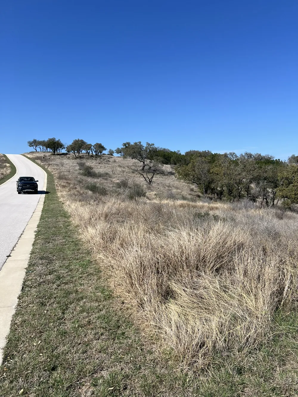25 Southview Court Kingsland, TX 78639