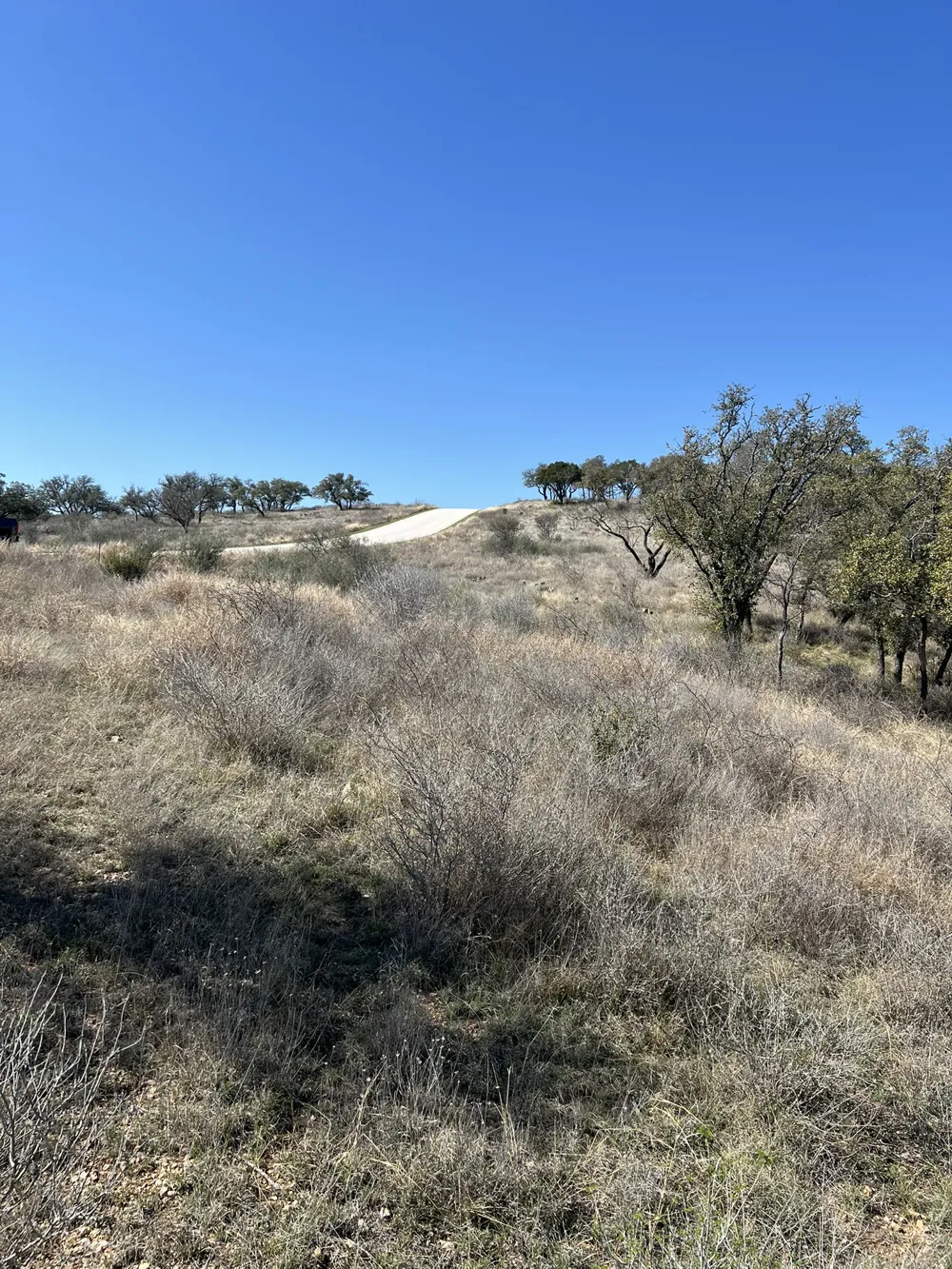 25 Southview Court Kingsland, TX 78639