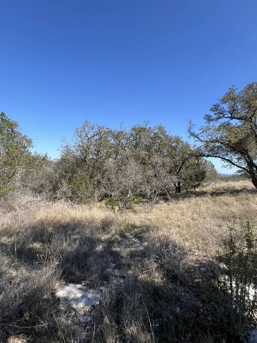 25 Southview Court Kingsland, TX 78639