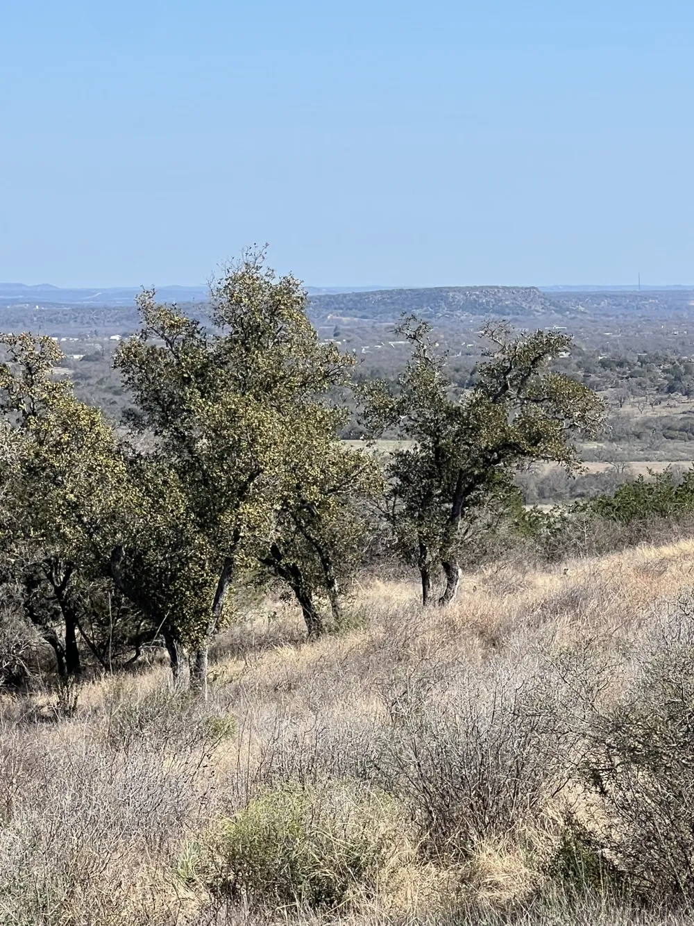 25 Southview Court Kingsland, TX 78639